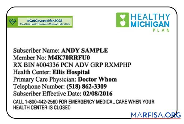 Downloadable Michigan health insurance card download for verification